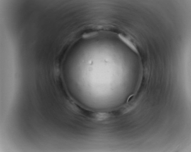 X0000114200085200910161233