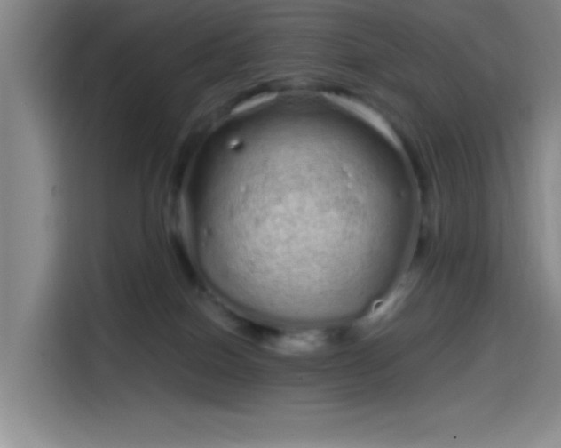 X0000114200086200910161233