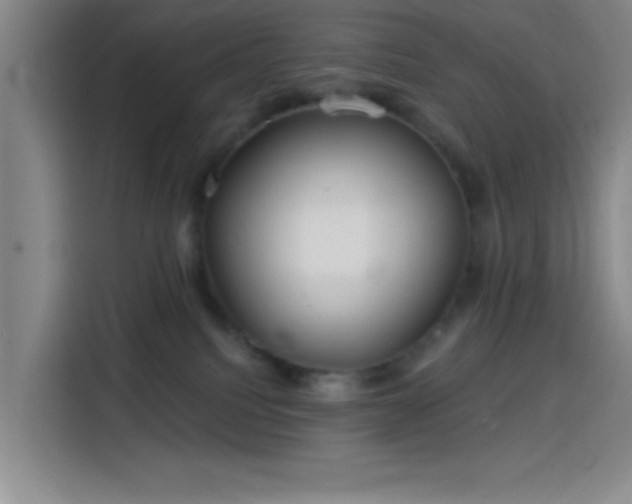 X0000114200088200910161233