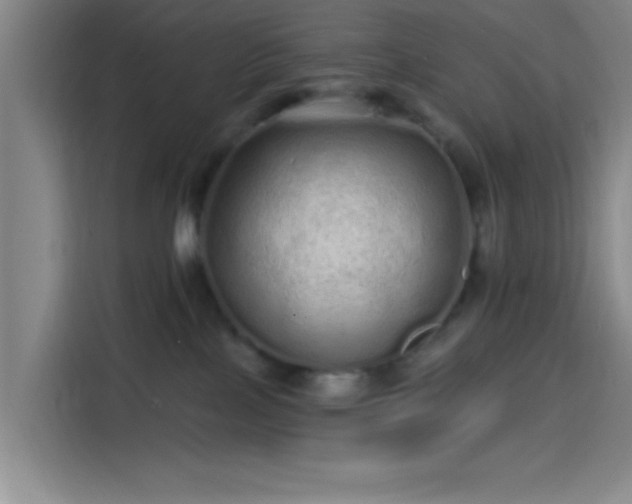 X0000114200089200910161233