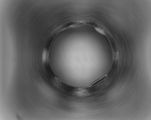 X0000114200095200910161233