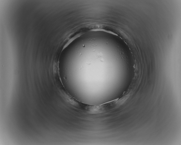 X0000114200096200910161233