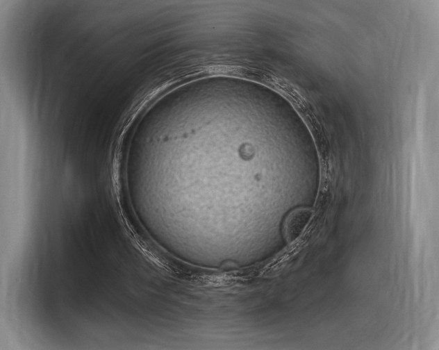 X0000114200098200910161233