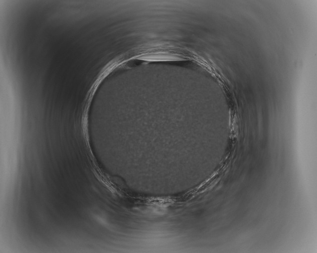 X0000114200099200910161233