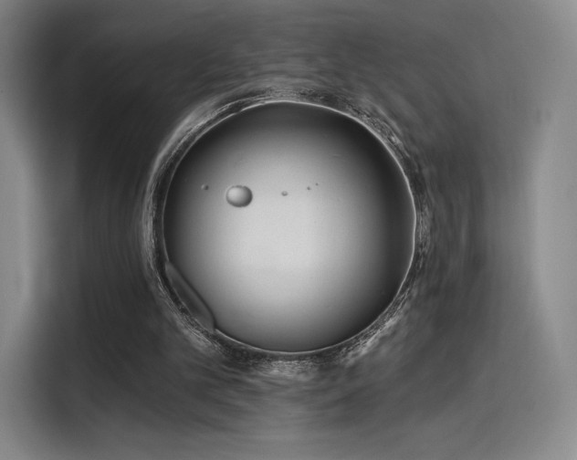 X0000114200101200910161233