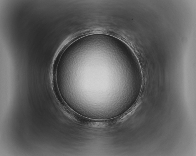 X0000114200102200910161233