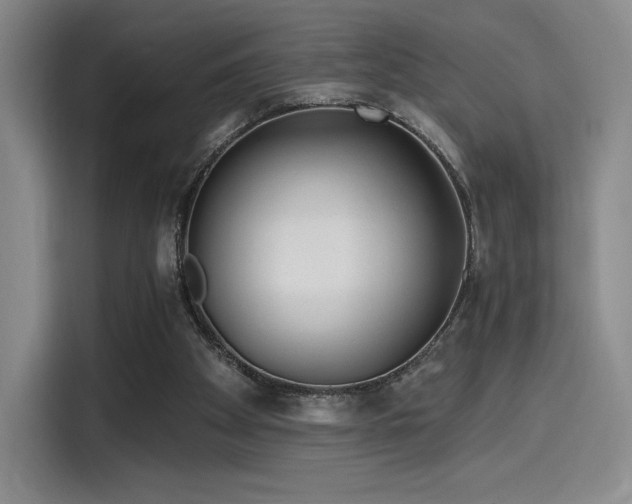 X0000114200105200910161233