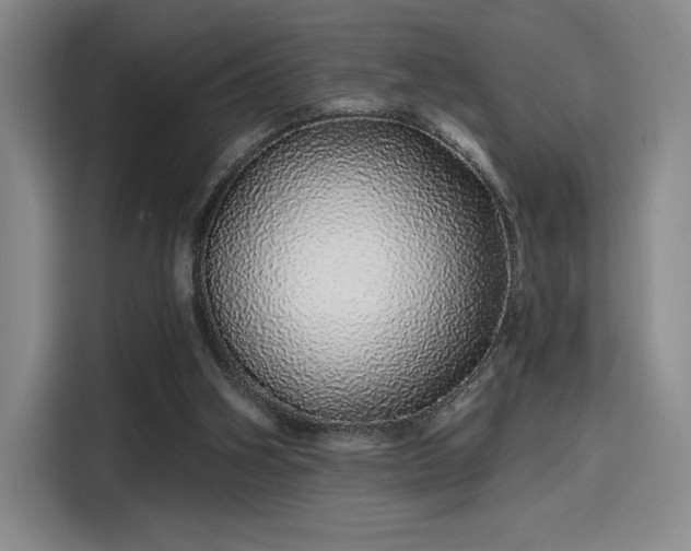 X0000114200106200910161233