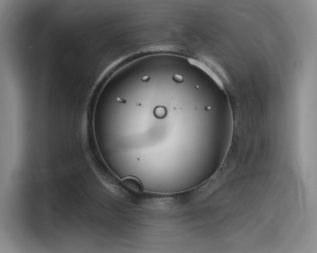 X0000114200108200910161233