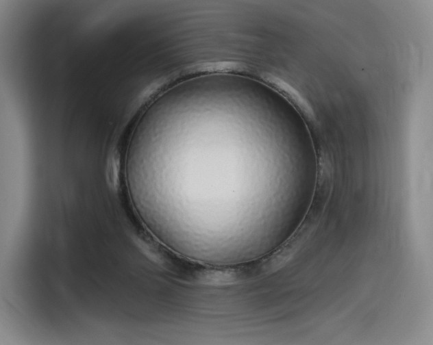 X0000114200110200910161233