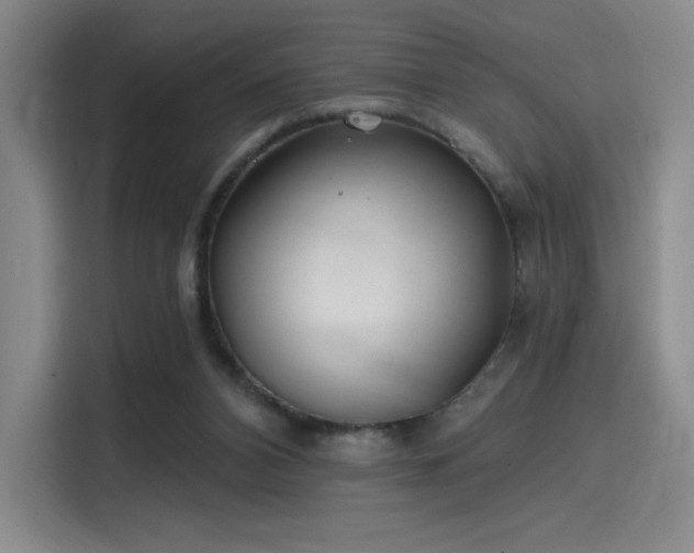 X0000114200112200910161233