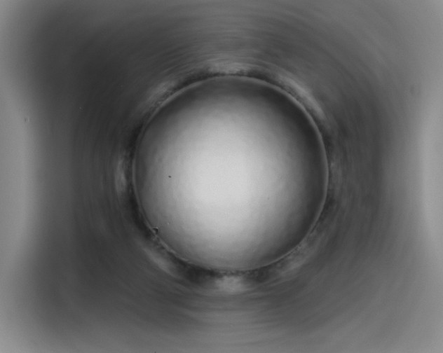 X0000114200114200910161232