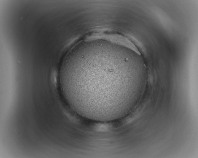 X0000114200115200910161232