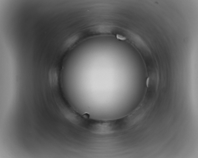 X0000114200120200910161232