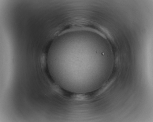 X0000114200121200910161232