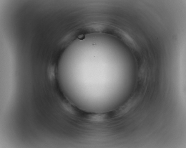 X0000114200122200910161232