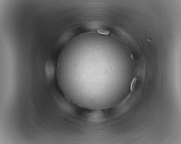 X0000114200124200910161232