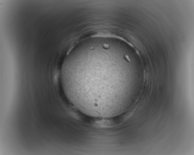 X0000114200125200910161232