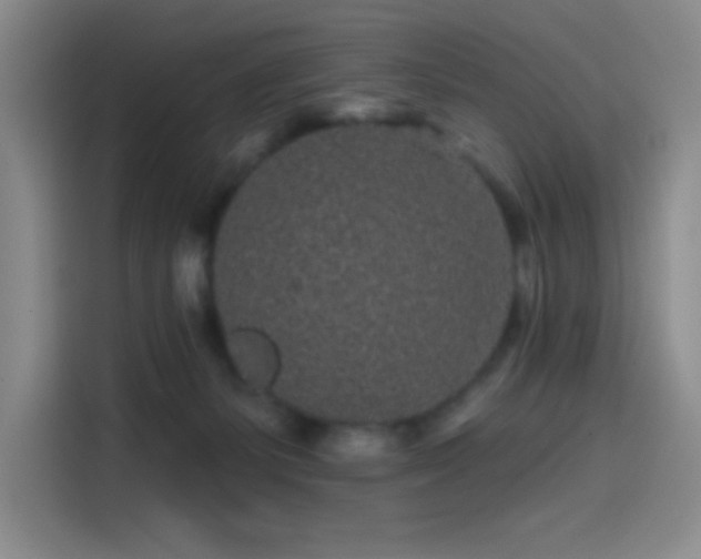 X0000114200127200910161232