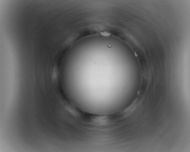 X0000114200132200910161232