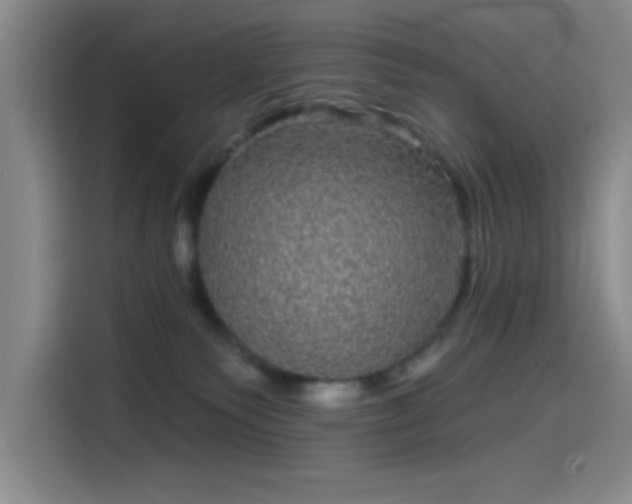 X0000114200135200910161232