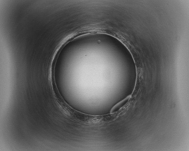 X0000114200148200910161232