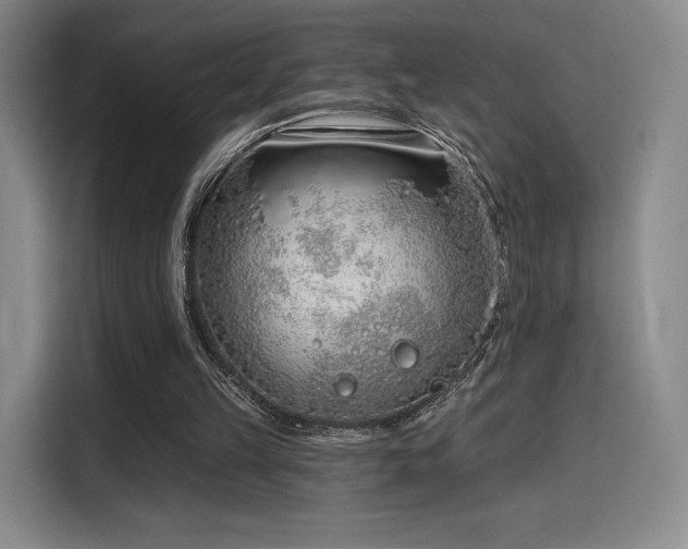 X0000114200149200910161232