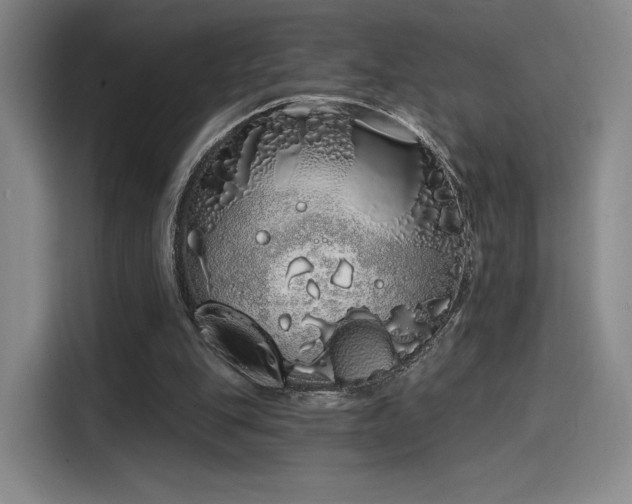 X0000114200151200910161232