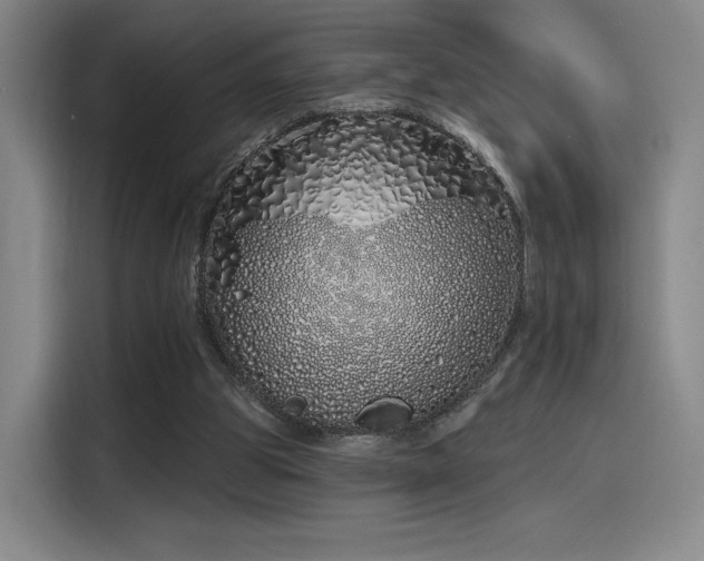 X0000114200153200910161232