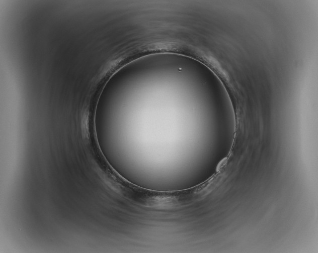 X0000114200154200910161232