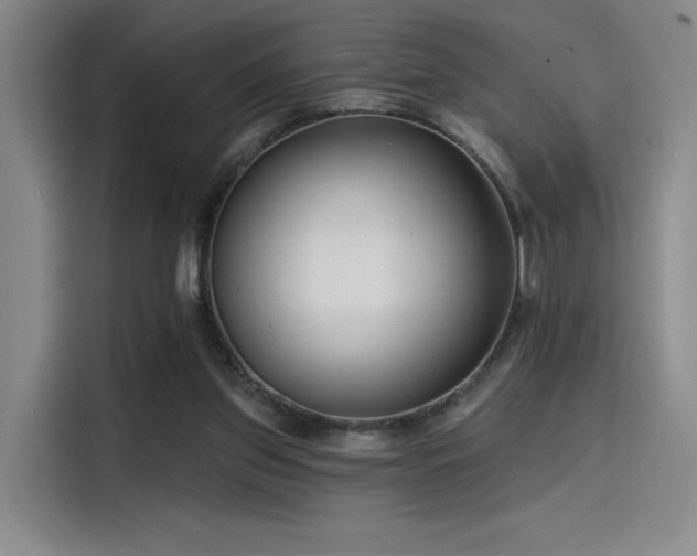 X0000114200157200910161232