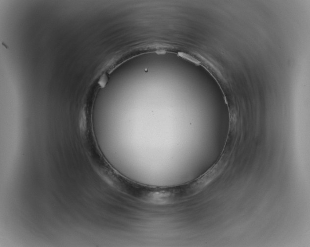 X0000114200158200910161232