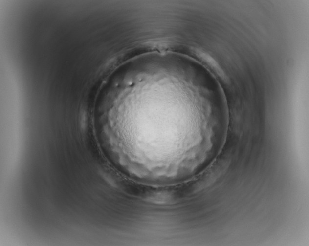 X0000114200161200910161232