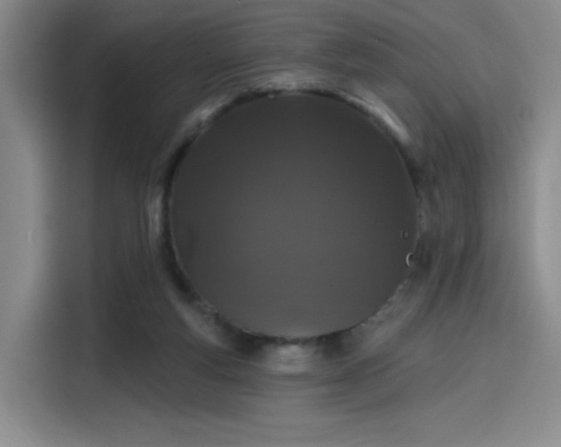 X0000114200163200910161232