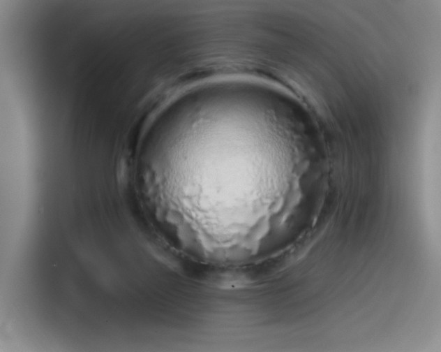 X0000114200165200910161232