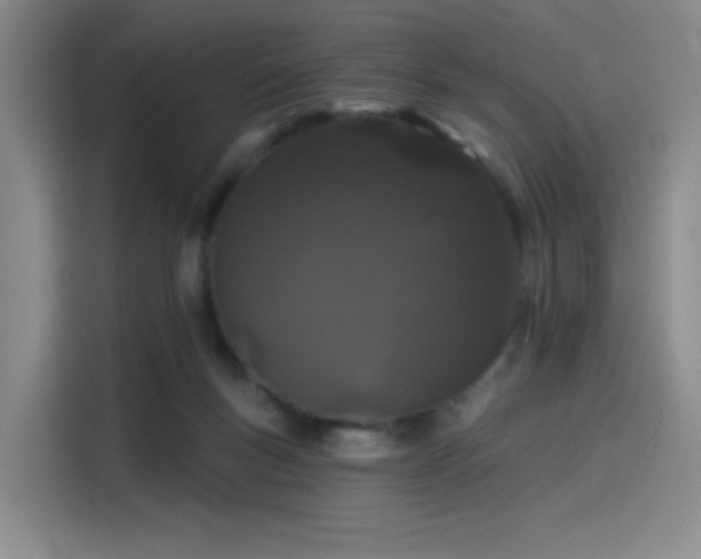 X0000114200167200910161232