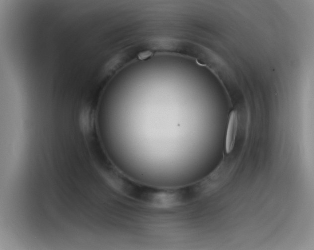 X0000114200168200910161232