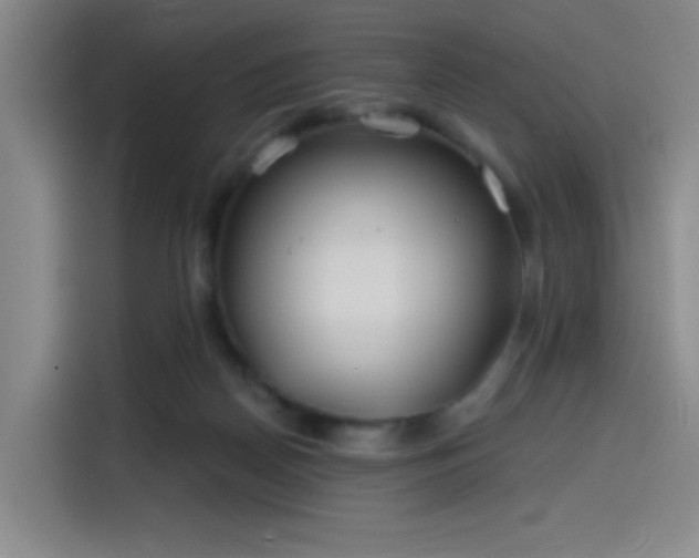 X0000114200170200910161232