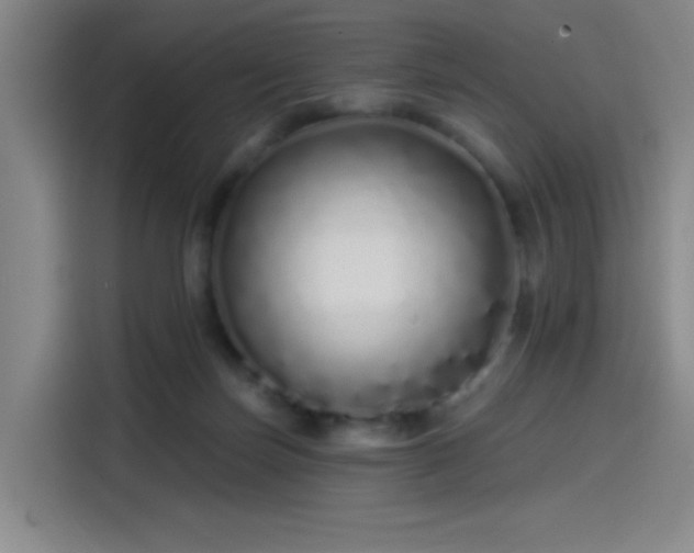 X0000114200171200910161232