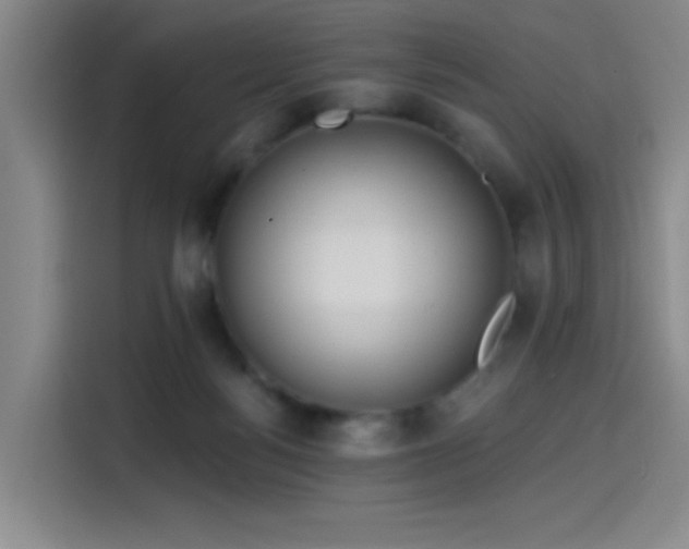 X0000114200172200910161232