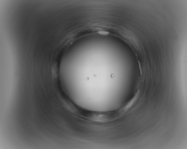 X0000114200174200910161232