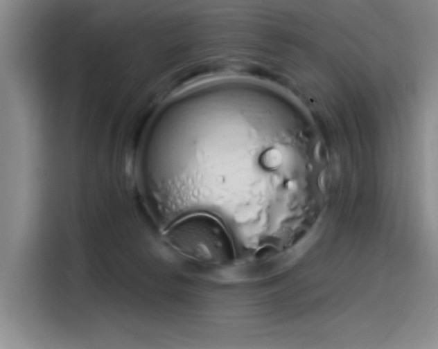 X0000114200178200910161232