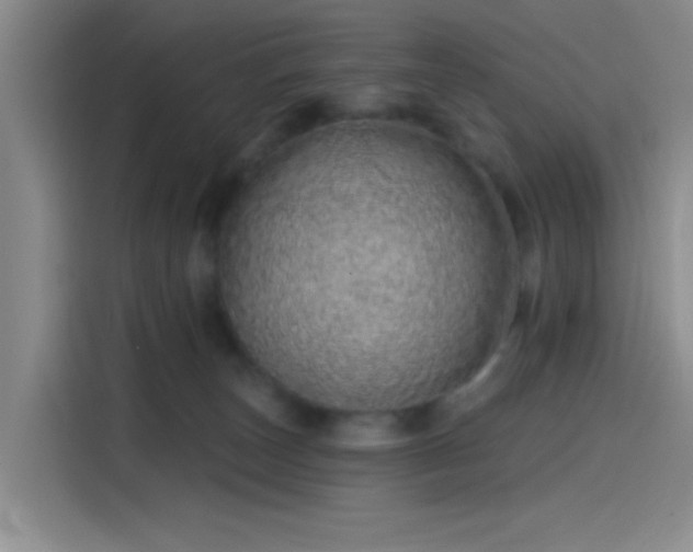 X0000114200179200910161232