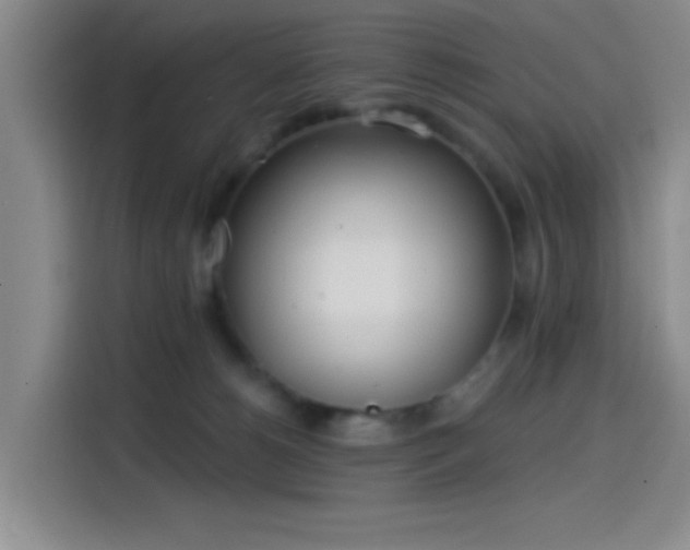 X0000114200180200910161232