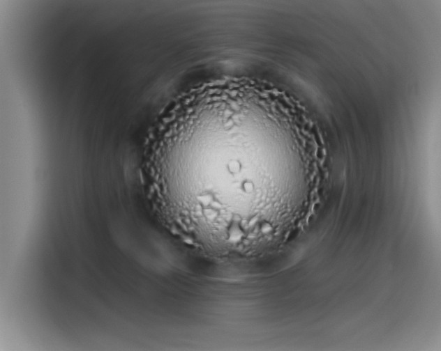 X0000114200181200910161232