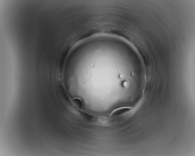 X0000114200182200910161232