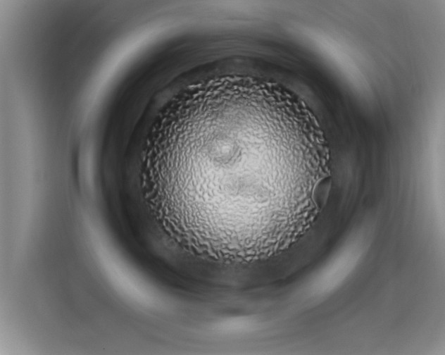 X0000114200189200910161232