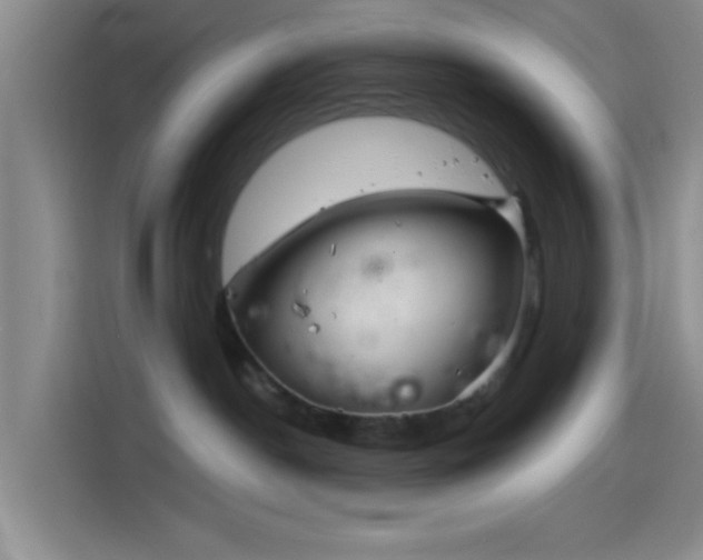 X0000114200190200910161232