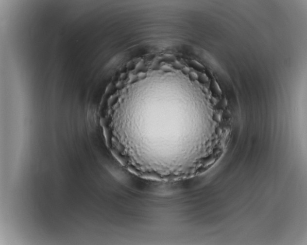 X0000114200191200910161232