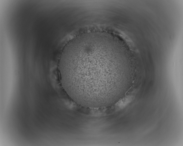 X0000114200192200910161232